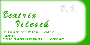 beatrix vilcsek business card